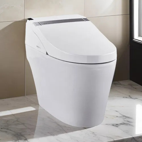 ProStock 1K Smart Toilet w/ Bidet Combo, 1.0 and 1.5 GPF, White - PSBTWE1000