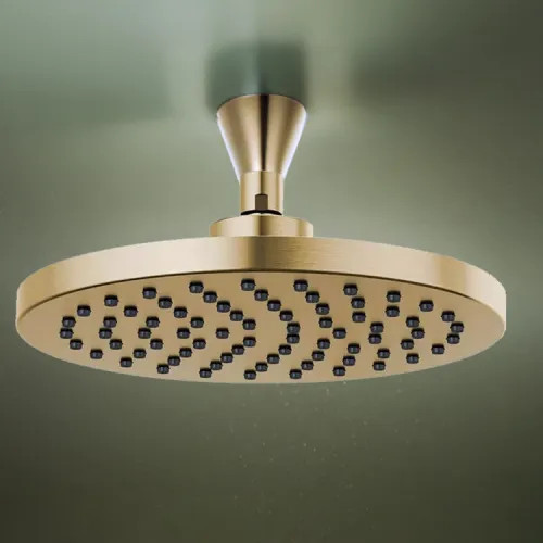 Brizo Essential 10 Raincan Shower Head, Single-Function, Full Spray, 2.5 GPM, Brilliance Luxe Gold - 81398-GL-2.5