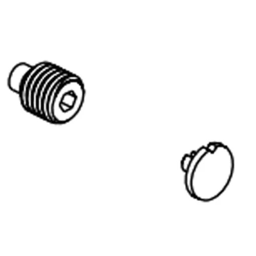 Brizo Kintsu Screw and Cap for Thermostatic Valve Trim, Brilliance Black Onyx - RP101588BNX