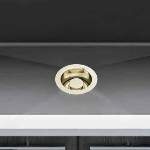 Brizo 4-1/2" Kitchen Sink Disposal Flange with Stopper, Brilliance Polished Nickel - 69072-PN