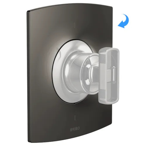 Brizo Kintsu Escutcheon, Brilliance Black Onyx - RP101598BNX