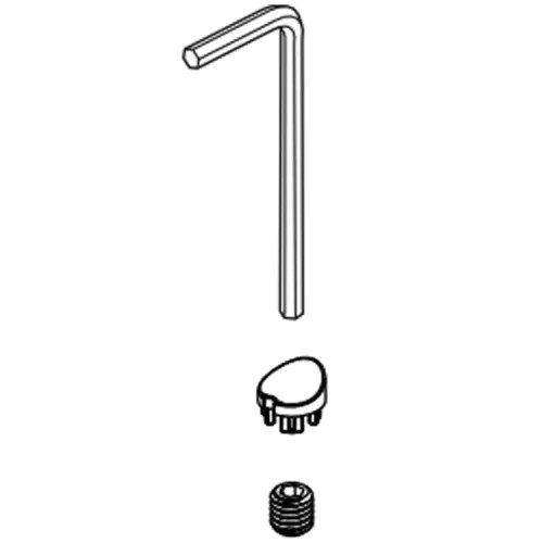 Brizo Kintsu Set Screw and Button Cover for Multi-Function Slide Bar Handshower, Brilliance Luxe Gold - RP101579GL