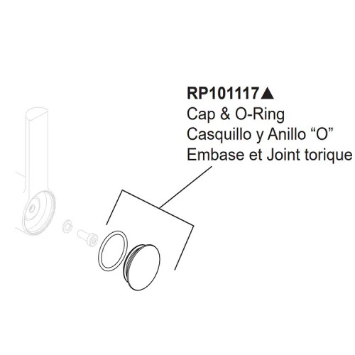 Brizo Artesso Cap and O-Ring for Instant Hot Faucets, Brilliance Luxe Steel - RP101117SL