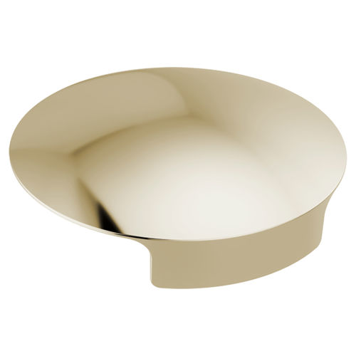Delta RP101289PN Cover for Glass Rinser - Polished Nickel