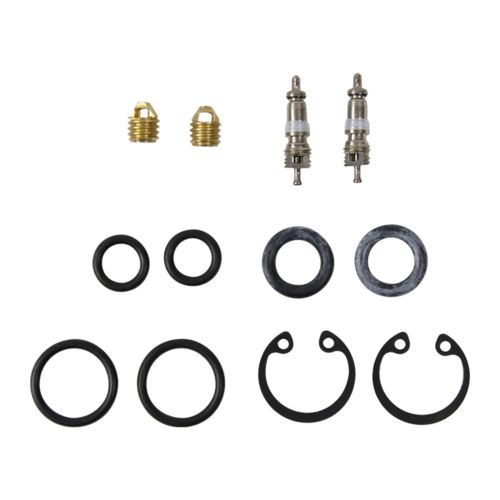 UEi O-Ring Kit for WPP1 Pressure Probe (HUB Series) - AORK1