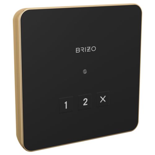 Brizo Mystix 3-7/8in Polished Gold Linear Square Exterior Control with LED Indicator, Lumicoat Technology - 8CN-220L-PG-L