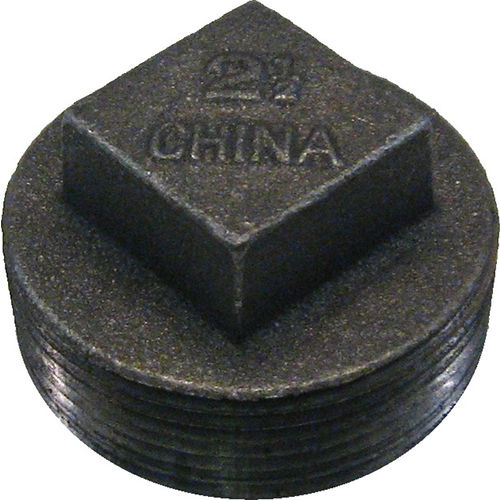 2-1/2" Black Iron Plug