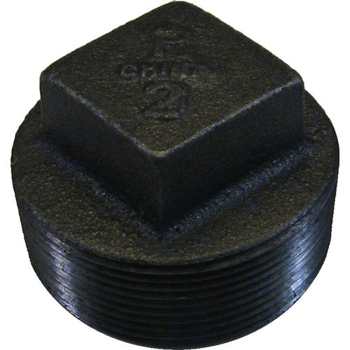 2" Black Iron Plug