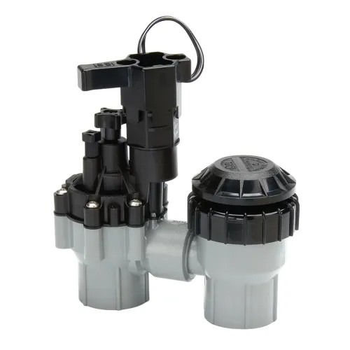 Rain Bird ASVF 1" FPT Threads Residential Anti-Siphon Irrigation Valve with Flow Control - 100ASVF (B73100)
