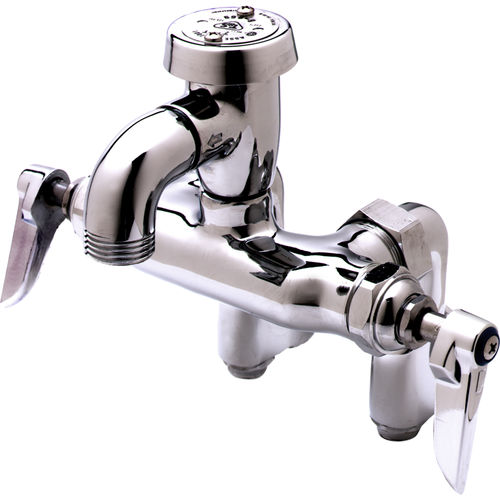 T&S B-0669-POL Service Sink Faucet