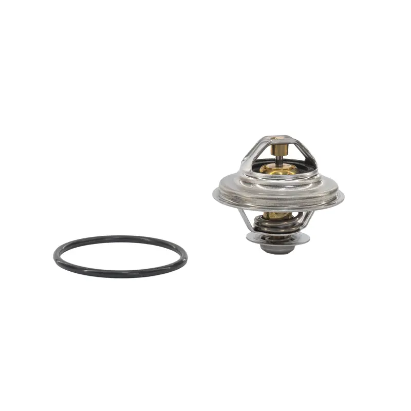 87C Thermostat