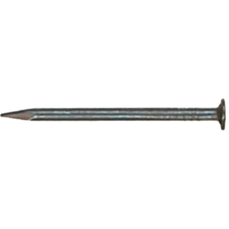NAIL 1 EG ROOF 1 LB