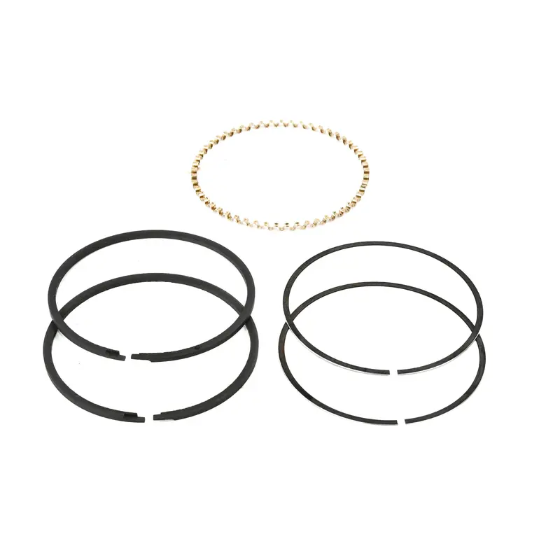 Champion Piston Ring Kit Replacement - Z-798