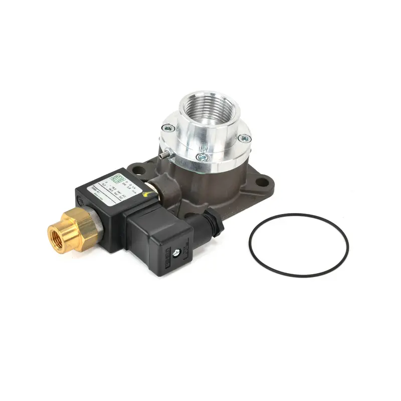 ELGi Inlet Valve Replacement - B009800780010