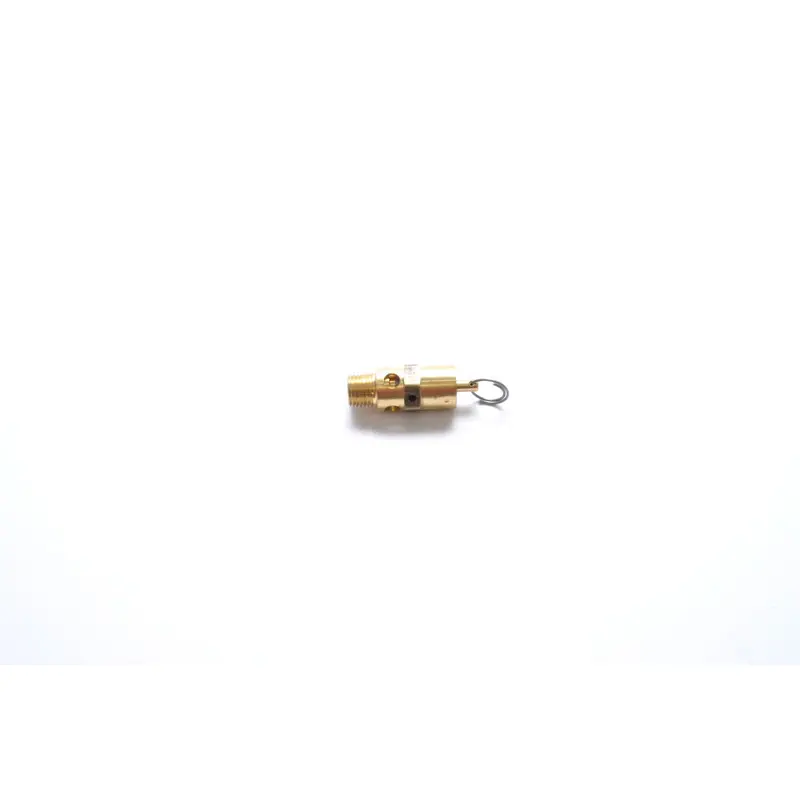 Ingersoll Rand Safety Valve Replacement - 31385693
