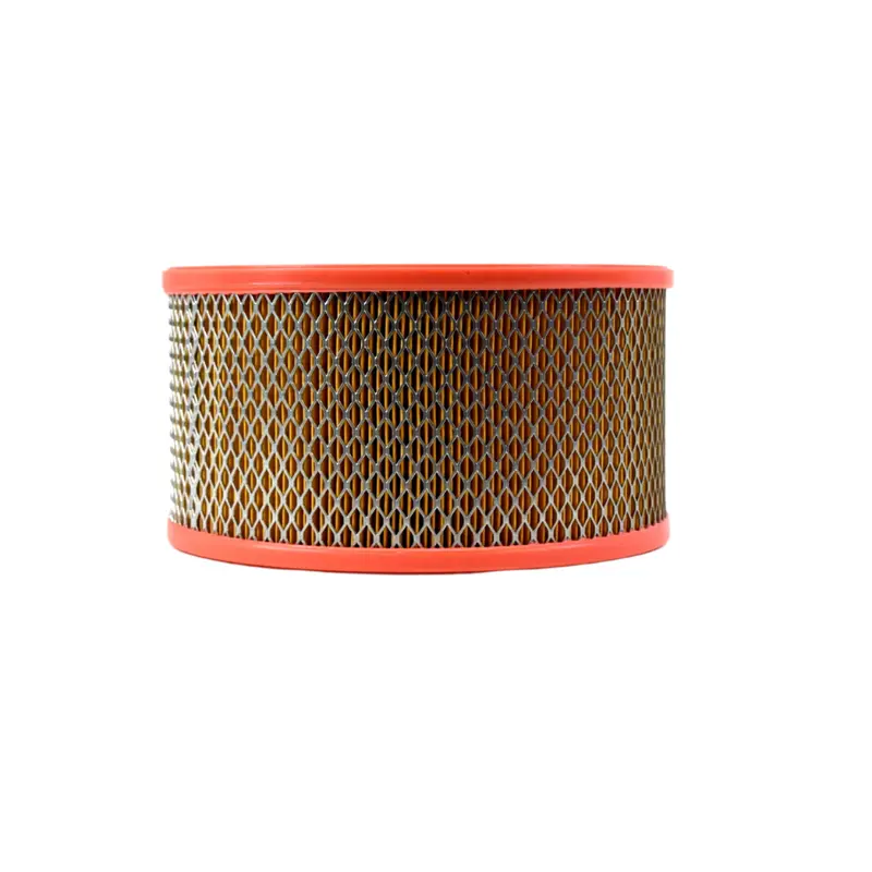 Joy Air Filter Replacement - 1224813