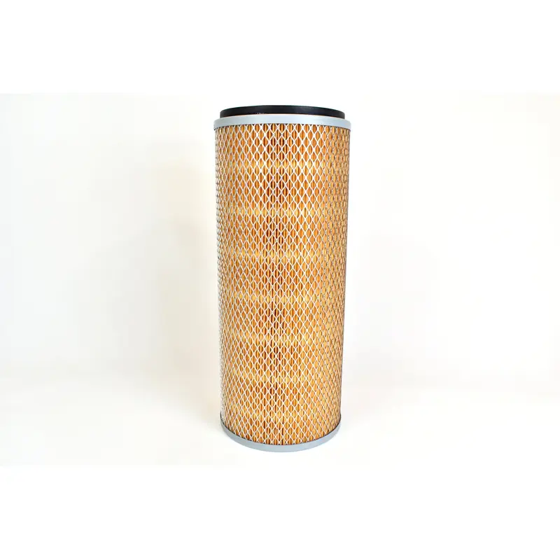 Joy Air Filter Replacement - 543298-0006