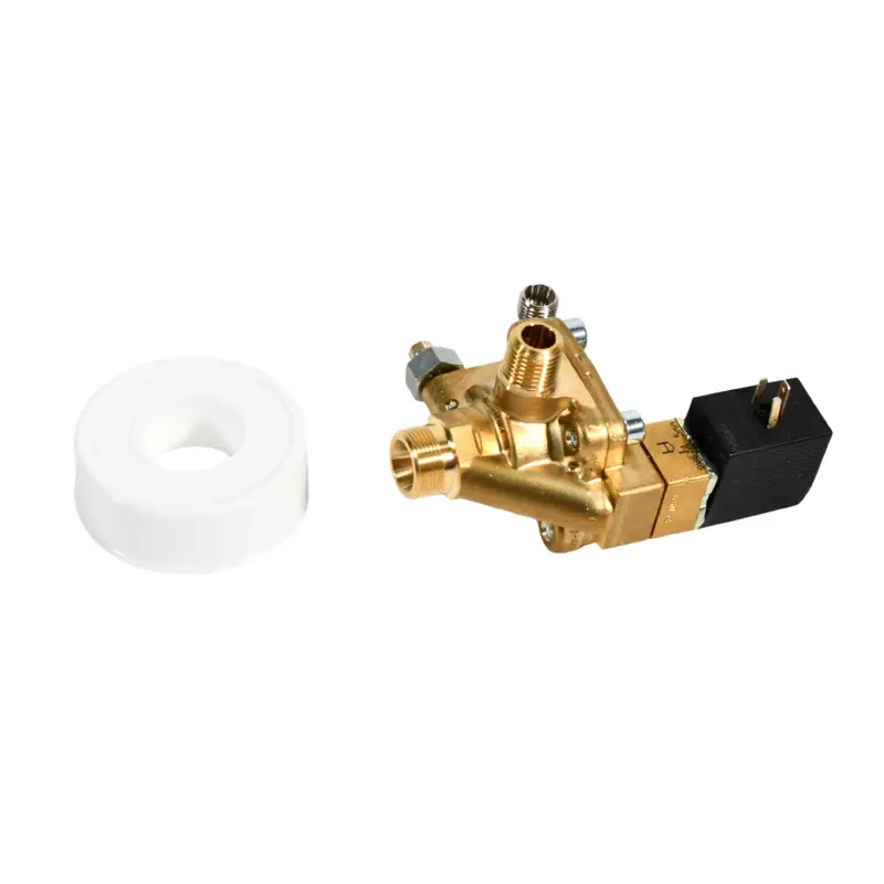 Kaeser Combination Discharge Valve Replacement - 4.2000E1