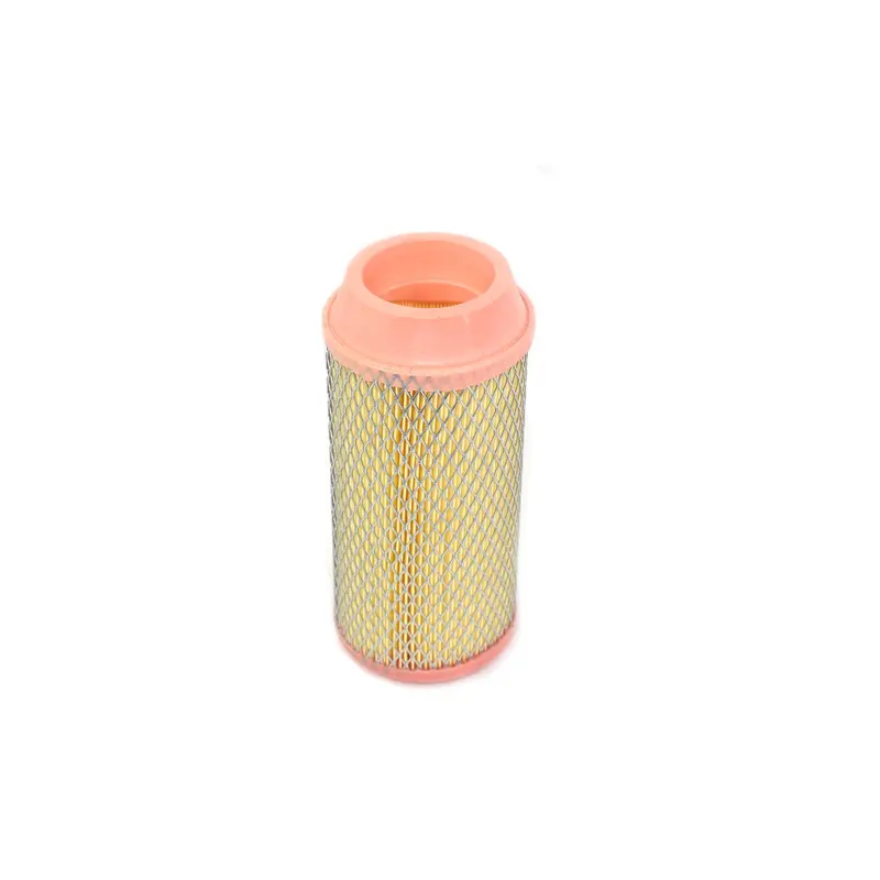 Mann Air Filter Replacement - C11100