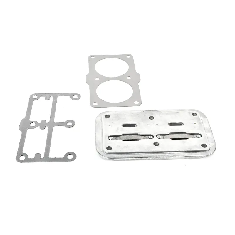 Quincy Valve Plate Replacement - 2022125301