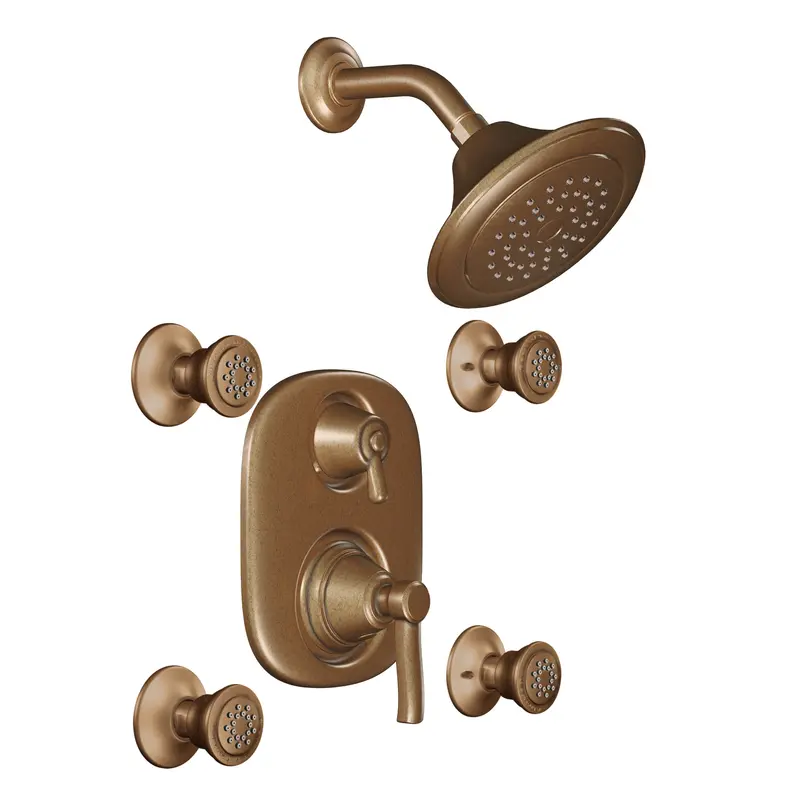 Rothbury Chrome Moentrol(R) vertical spaChrome