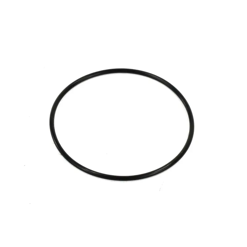 Hankison O-Ring Replacement - 3154585