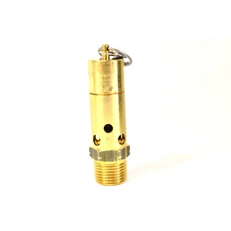 Atlas Copco Valve Replacement - 1310016100