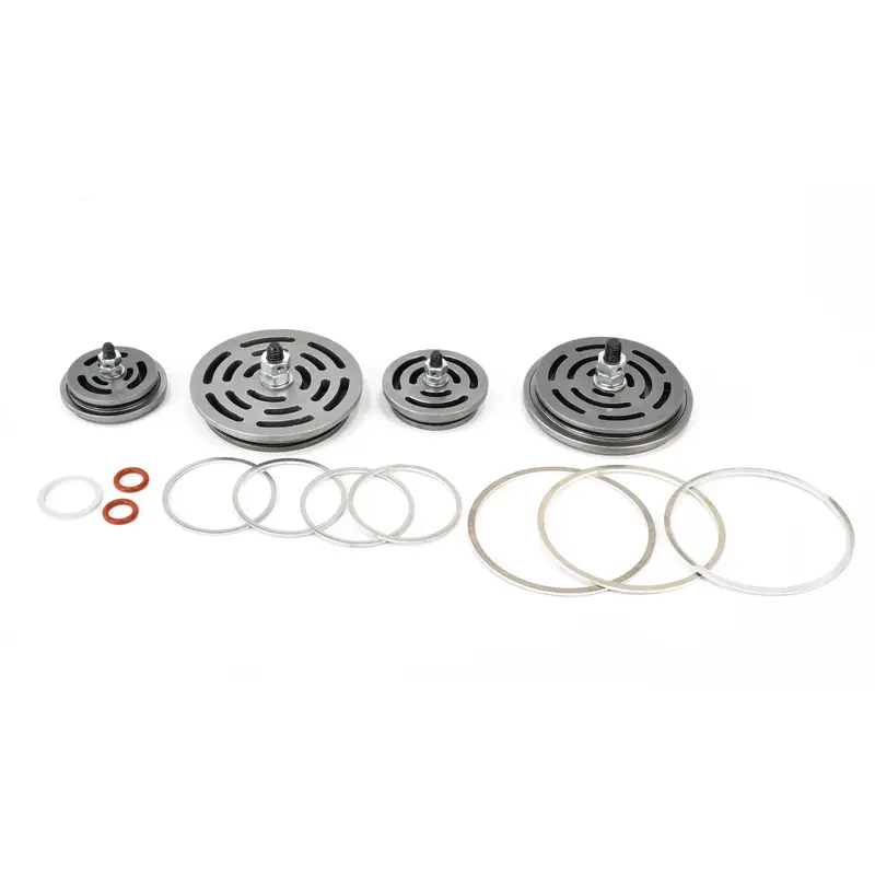 Champion Valve Set Replacement - Z656