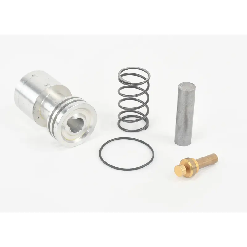 Kaeser Combo Valve Overhaul Kit Replacement - 401812.10020