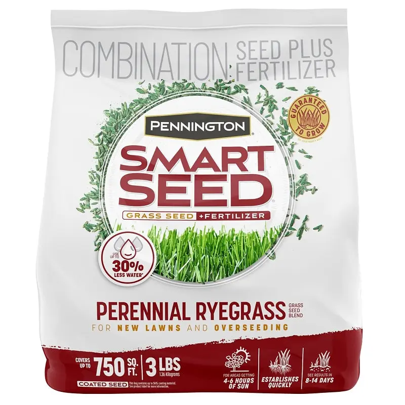 SEED PERENNIAL RYE BLEND 3LB