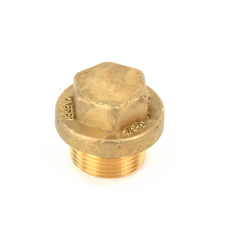 Kaeser Screw Plug Replacement - 6.2619.0