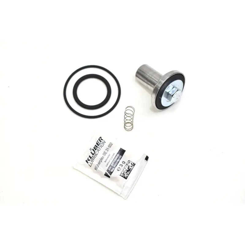 Kaeser Minimum Pressure Check Valve Replacement - 400992.1