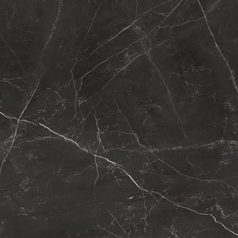 Anatolia La Marca Nero Venato 24-in x 24-in Honed Porcelain Marble Look Floor and Wall Tile (15.5-sq. ft/ Carton)15.5-sq. ft/ Carton