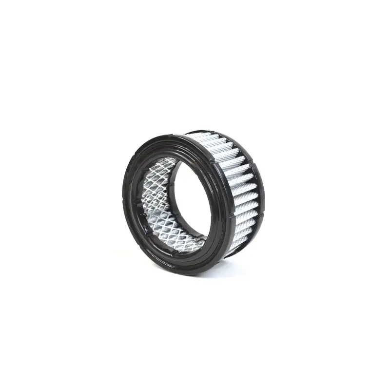 Champion Air Filter Replacement - P5050A