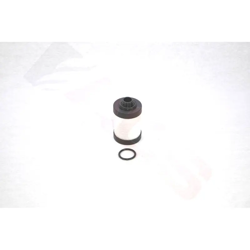 Elmo Rietschle Separator Replacement - 731399