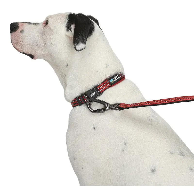 Guardian Gear ZA0006 20 83 Dog Collar, O-Ring Link, 20 to 83 in L Collar, Nylon, True Red