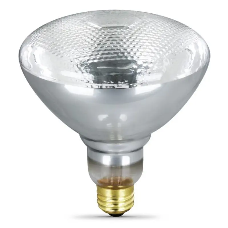 Feit Electric 65-Watt BR40 Flood Incandescent Light Bulb65 Watt