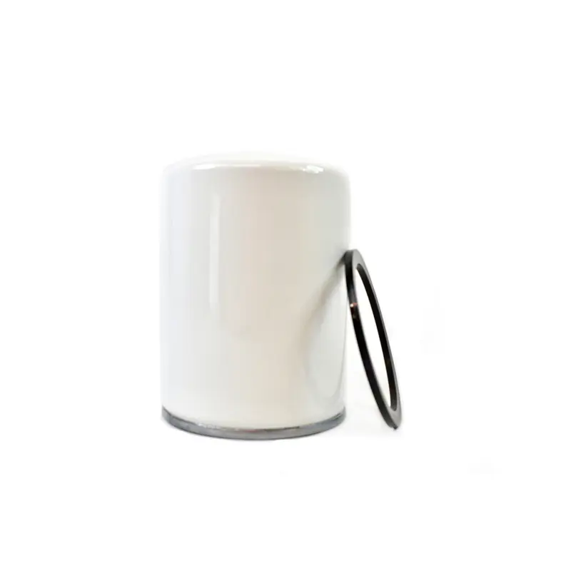 Hankison Coalescing Filter Replacement - E9-PV