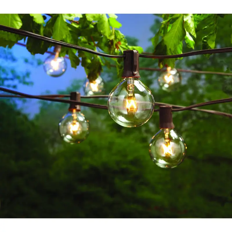 12-Light Large Cafe Clear String LightsBrown / 2 Pack