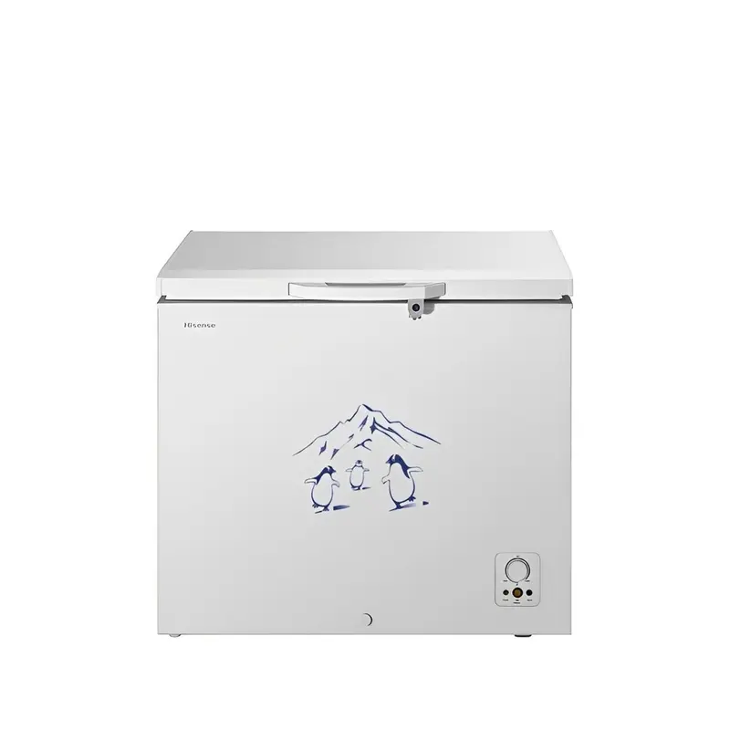 Hisense Freezer - 205 LT
