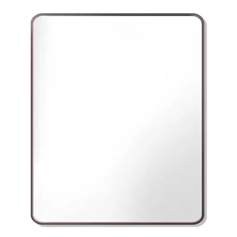 30 in. W x 36 in. H Rectangle Aluminum Alloy Framed Wall Bathroom Vanity Mirror in Oil Rubbed Bronze
